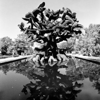 「Mosaicultures-Montr…」というタイトルの写真撮影 Lucien Duhamelによって, オリジナルのアートワーク