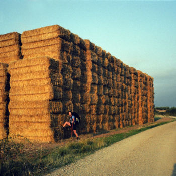 Fotografie mit dem Titel "Chemins de Composte…" von Lucien Duhamel, Original-Kunstwerk