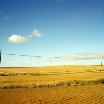 Fotografie mit dem Titel "Chemins de Composte…" von Lucien Duhamel, Original-Kunstwerk