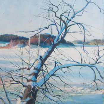 Painting titled "Зима.Winter." by Nikolai Nikolay Shenigin Shenigin, Original Artwork, Oil