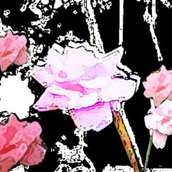 Digital Arts titled "roses" by Martine Richard, Original Artwork