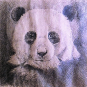 Drawing titled "Panda" by Ludivine Charpentier, Original Artwork, Pencil