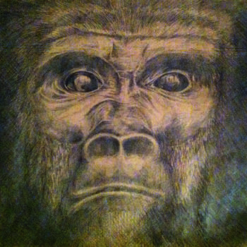 Dessin intitulée "Gorille" par Ludivine Charpentier, Œuvre d'art originale, Crayon