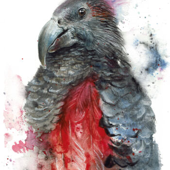 Painting titled "Pesquet Parrot" by Ludmila Kolbenova, Original Artwork, Watercolor