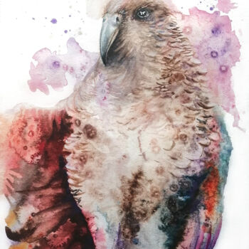 Peinture intitulée "Kea Alpine Parrot" par Ludmila Kolbenova, Œuvre d'art originale, Aquarelle