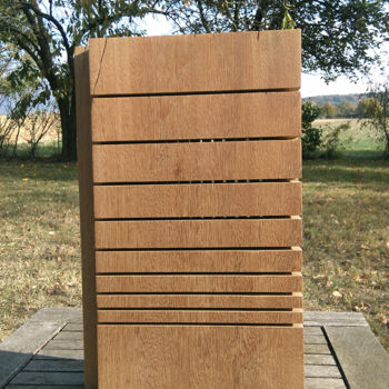 Sculpture intitulée "Iroko-transparence" par Ludovik Bost  Totems Cambium-Même, Œuvre d'art originale, Bois