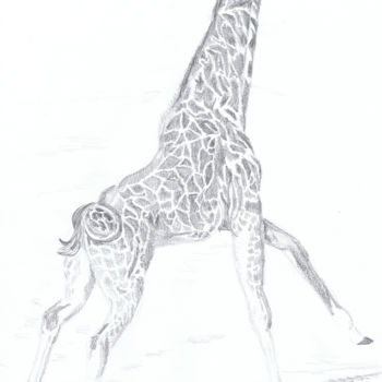 Dessin intitulée "Giraffe" par Luethi Alias Abdelghafar, Œuvre d'art originale, Crayon