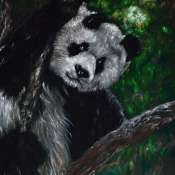 绘画 标题为“Pandabär” 由Luethi Alias Abdelghafar, 原创艺术品, 油 安装在木质担架架上