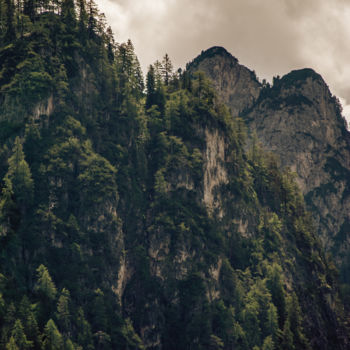 Photography titled "Forest Mountain Cli…" by Luigi Veggetti, Original Artwork, Digital Photography