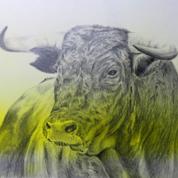 Drawing titled "bullfight.jpg" by Lacasa, Original Artwork, Pencil