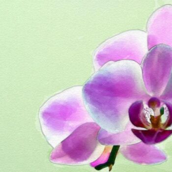 Painting titled "Orchid" by Luiza Estrella, Original Artwork, Other