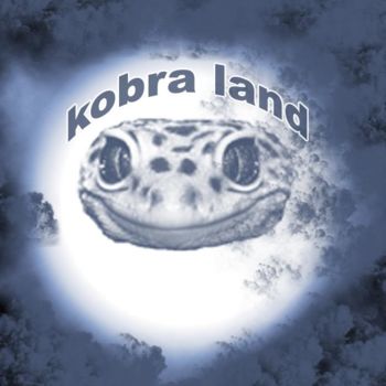 Photography titled "kobra land" by Sow Abdourahamane, Original Artwork