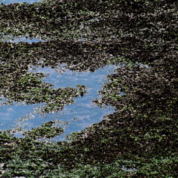 Photographie intitulée "SANS TITRE" par Ly-Rose, Œuvre d'art originale