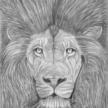 Desenho intitulada "Le lion sage" por Eric Schroedel, Obras de arte originais, Grafite