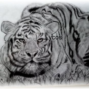 Drawing titled "tigre bondissant" by Lycos, Original Artwork, Graphite