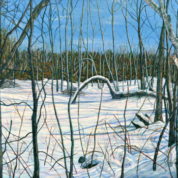 "winter-solitude-med…" başlıklı Tablo Lynden Cowan tarafından, Orijinal sanat, Petrol