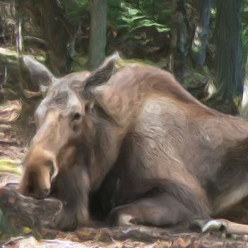 数字艺术 标题为“Quiet Moose” 由Lynn A Marie, 原创艺术品, 数字油画