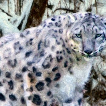数字艺术 标题为“Snow Leopard” 由Lynn A Marie, 原创艺术品, 数字油画