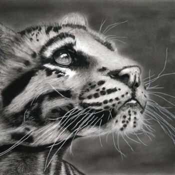 Drawing titled "Clouded Leopard" by Lynton Bolton, Original Artwork, Charcoal