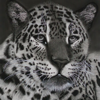 Drawing titled "Jaguar Portrait" by Lynton Bolton, Original Artwork, Charcoal