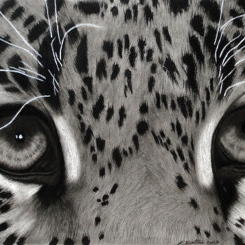 Σχέδιο με τίτλο "Leopard Eyes" από Lynton Bolton, Αυθεντικά έργα τέχνης, Κάρβουνο