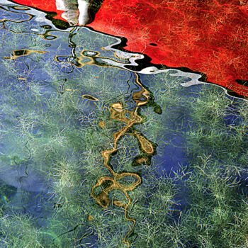 Photographie intitulée "Aquarêve 4" par Lyonel Tortey, Œuvre d'art originale, Photographie numérique