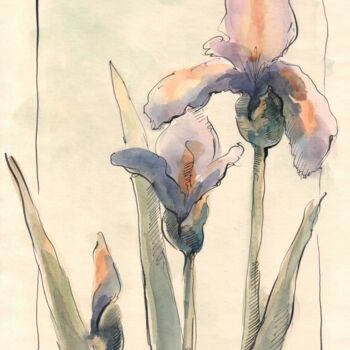 Painting titled "Iris" by Lyubov Fonareva, Original Artwork, Watercolor