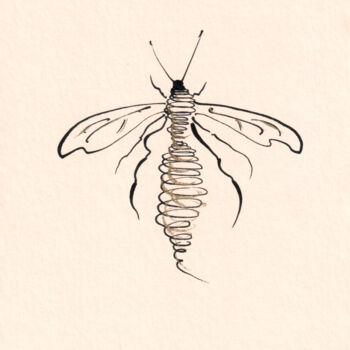 Рисунок под названием "Wasp" - Lyubov Fonareva, Подлинное произведение искусства, Чернила