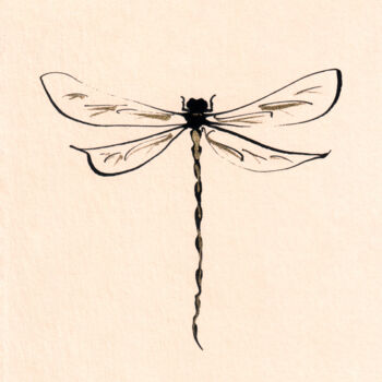 Disegno intitolato "Dragonfly" da Lyubov Fonareva, Opera d'arte originale, Inchiostro