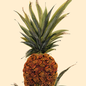 Картина под названием "Pineapple" - Lyubov Fonareva, Подлинное произведение искусства, Акварель