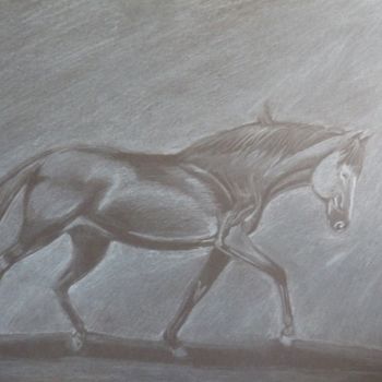 Dessin intitulée "Cheval noir" par Mylène Delpy, Œuvre d'art originale, Crayon