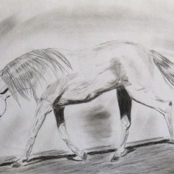 Drawing titled "Cheval espagnol" by Mylène Delpy, Original Artwork, Charcoal