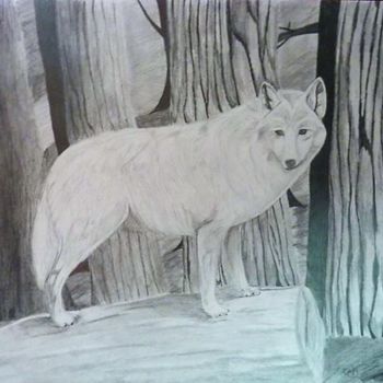 Drawing titled "Loup blanc" by Mylène Delpy, Original Artwork, Pencil