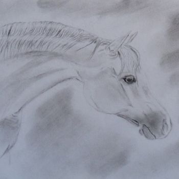 Dessin intitulée "Cheval arabe" par Mylène Delpy, Œuvre d'art originale, Fusain