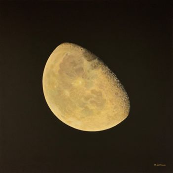 Картина под названием "« Apparition noctur…" - Mickael Gastineau, Подлинное произведение искусства, Акрил Установлен на Дере…