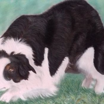 Pintura intitulada "Border Collie" por Portraits Animaliers, Obras de arte originais, Pastel
