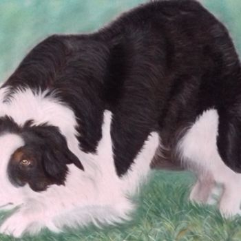 Painting titled "Border Collie" by Portraits Animaliers, Original Artwork, Pastel