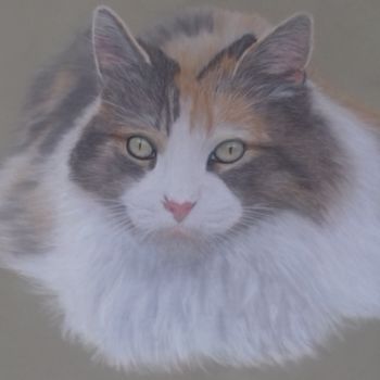 Pintura titulada "jolie chatte isabel…" por Portraits Animaliers, Obra de arte original, Pastel