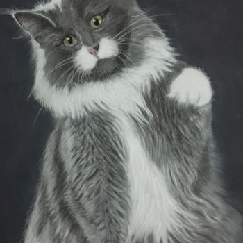 Painting titled "magnifique chat mai…" by Portraits Animaliers, Original Artwork, Pastel