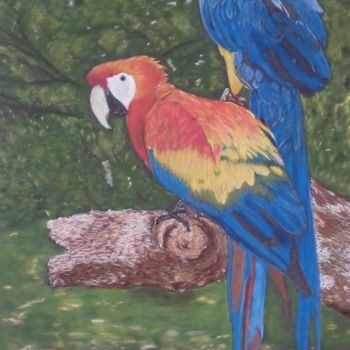 绘画 标题为“deux aras” 由Portraits Animaliers, 原创艺术品, 粉彩