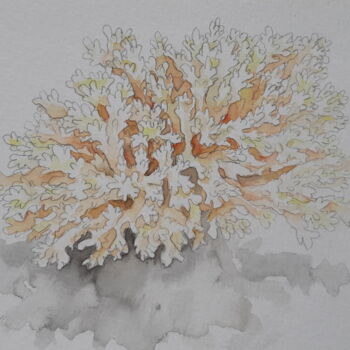 Painting titled "Corail" by Mademoiselle Solenn, Original Artwork, Watercolor