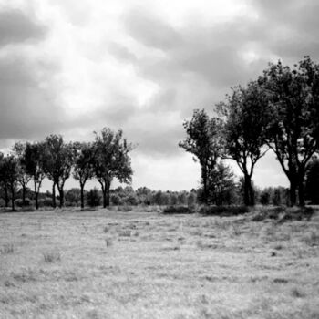 Fotografia intitolato "lowland. landscape" da Magda Durda, Opera d'arte originale, Fotografia non manipolata