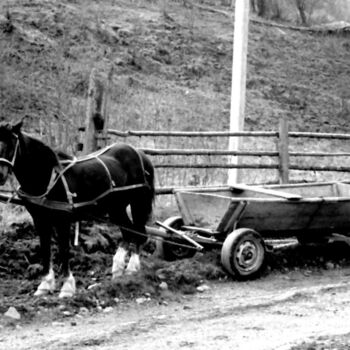 Photographie intitulée "horse and cart" par Magda Durda, Œuvre d'art originale, Photographie non manipulée