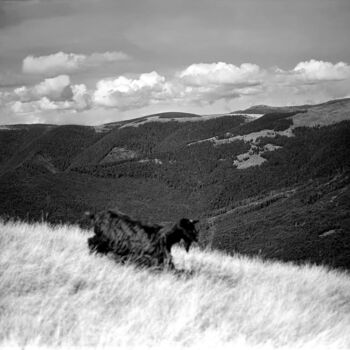 Photographie intitulée "landscape with goat" par Magda Durda, Œuvre d'art originale, Photographie non manipulée
