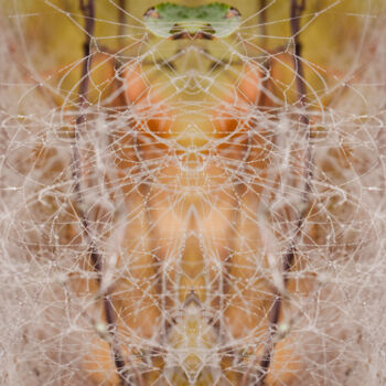 Photographie intitulée "Spider" par Magdalena Mienko, Œuvre d'art originale, Photographie manipulée