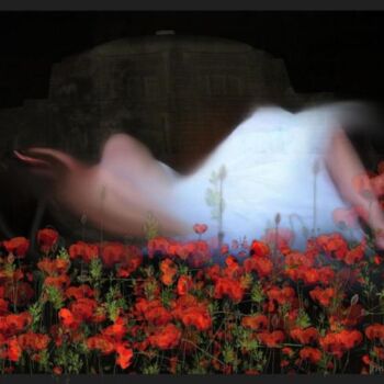 Digital Arts titled "Red Poppies" by Maggie Barra, Original Artwork