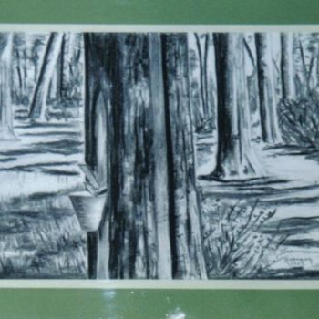 Printmaking titled "Forêt landaise" by Marguerite Rodriguez, Original Artwork, Engraving