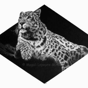 Drawing titled "Leopard" by Magali Lapeyre-Mirande, Original Artwork, Pencil