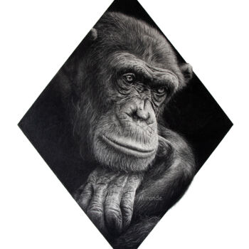 Tekening getiteld "Chimpanzé" door Magali Lapeyre-Mirande, Origineel Kunstwerk, Potlood