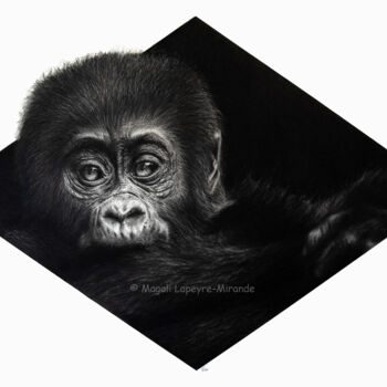 Рисунок под названием "Bébé Gorille" - Magali Lapeyre-Mirande, Подлинное произведение искусства, Карандаш